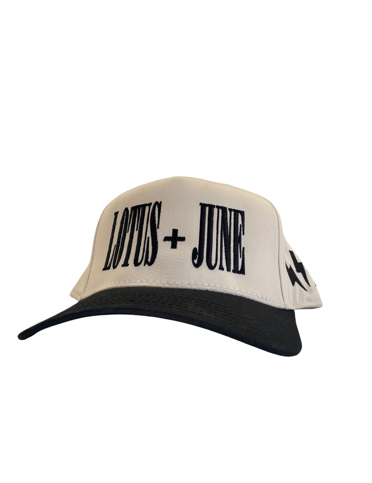 Untitleddesign-4_49df5916-b43e-49f6-aa4e-67b2fd9d5392.png